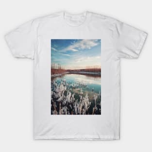 salted swamp T-Shirt